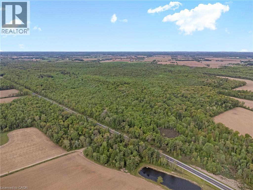 372 Highway 24, Brantford, Ontario  N3T 5L5 - Photo 11 - 40858359