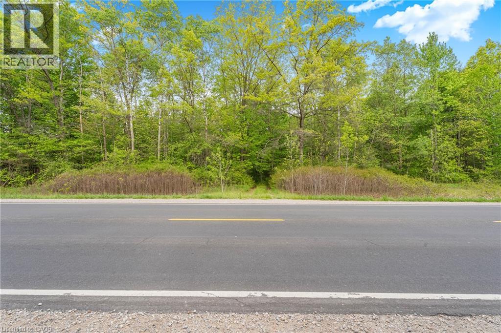 372 Highway 24, Brantford, Ontario  N3T 5L5 - Photo 3 - 40858359