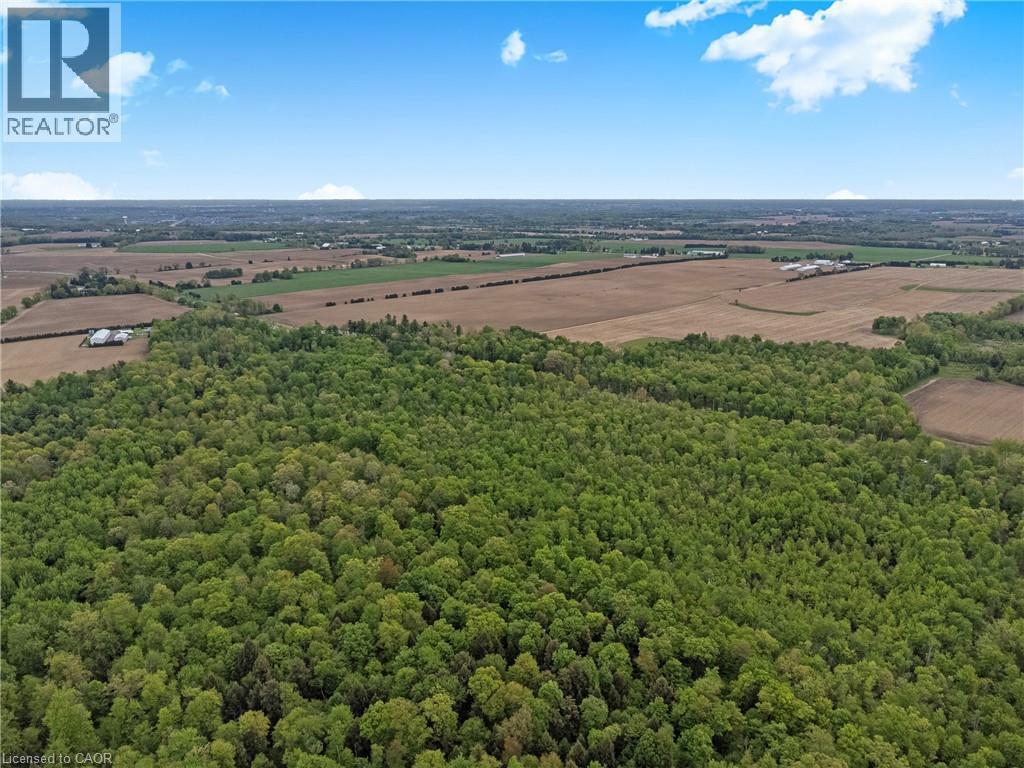 372 Highway 24, Brantford, Ontario  N3T 5L5 - Photo 15 - 40858359