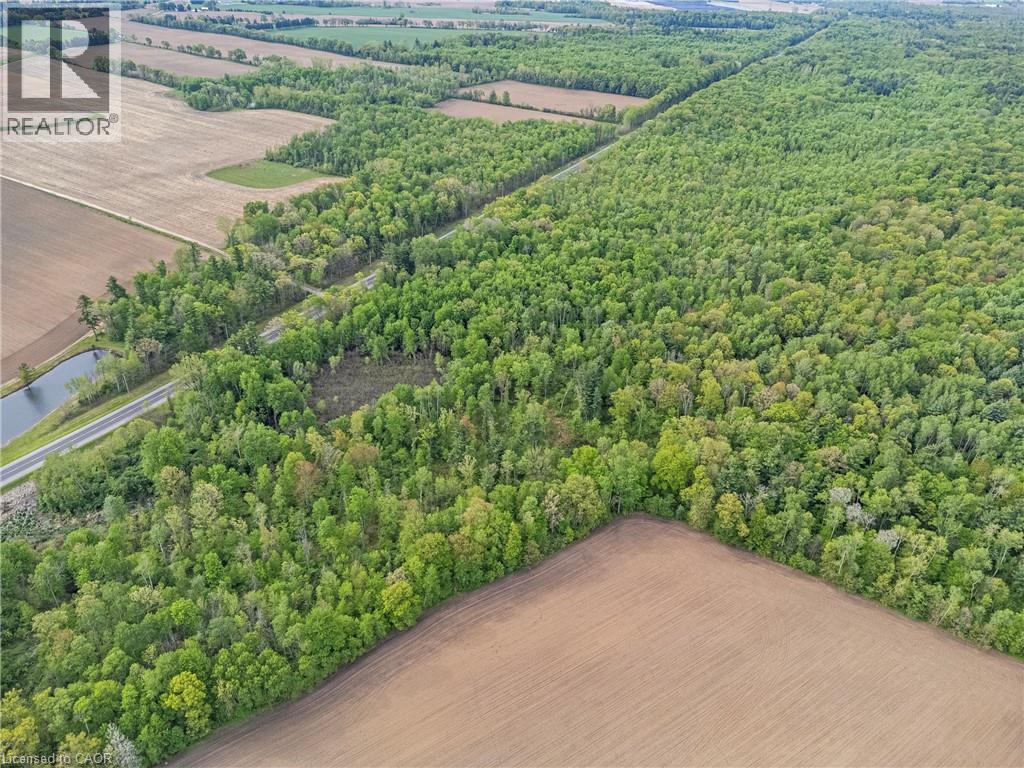 372 Highway 24, Brantford, Ontario  N3T 5L5 - Photo 6 - 40858359