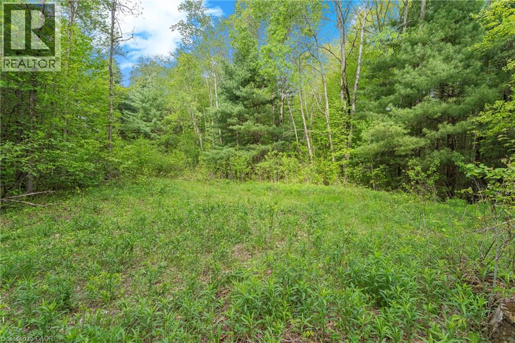 372 Highway 24, Brantford, Ontario  N3T 5L5 - Photo 5 - 40858359