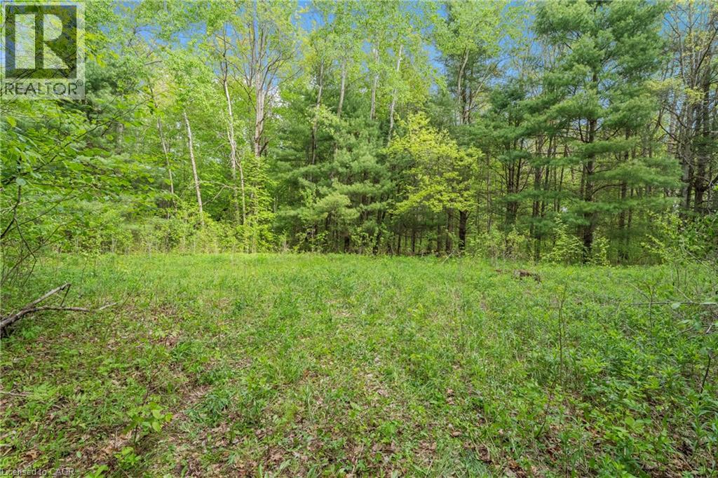 372 Highway 24, Brantford, Ontario  N3T 5L5 - Photo 4 - 40858359