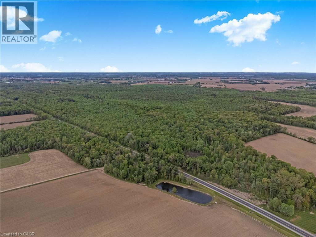 372 Highway 24, Brantford, Ontario  N3T 5L5 - Photo 7 - 40858359