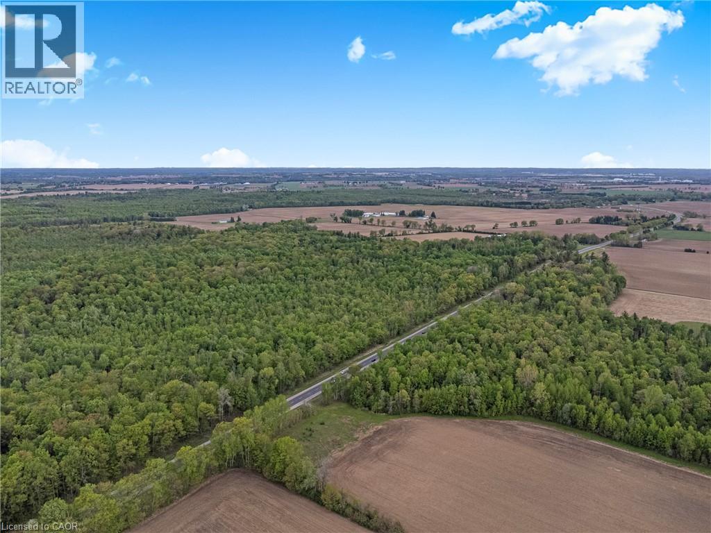 372 Highway 24, Brantford, Ontario  N3T 5L5 - Photo 9 - 40858359