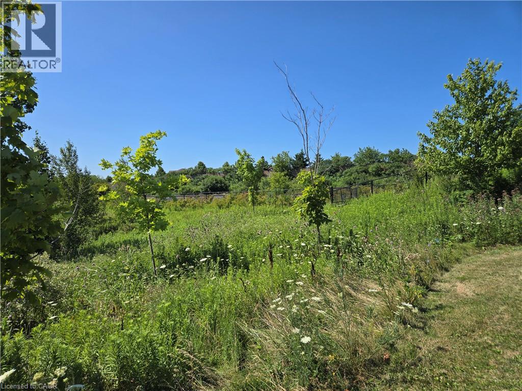 50 Dredge Court, Milton, Ontario  L9T 8T1 - Photo 3 - 40857642