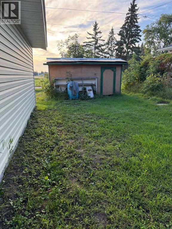 4517 53 Street, Vermilion, Alberta  T9X 1X9 - Photo 28 - A2338929