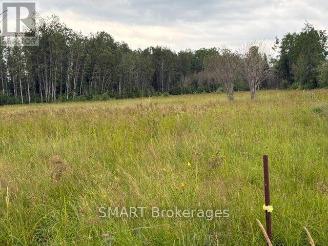 1742 Highway 66 West Highway W, Kirkland Lake, Ontario  P0K 1T0 - Photo 28 - T13610082