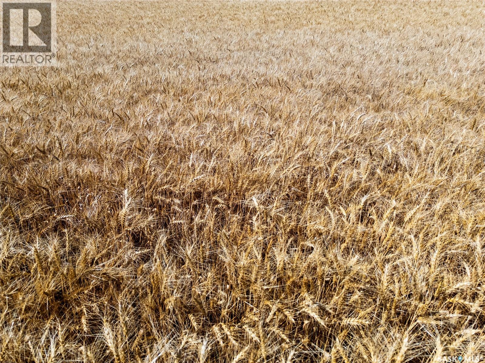 S 1/2 36-13-16 W2 - Sedley, Lajord Rm No. 128, Saskatchewan  S0G 0J8 - Photo 8 - SK047069