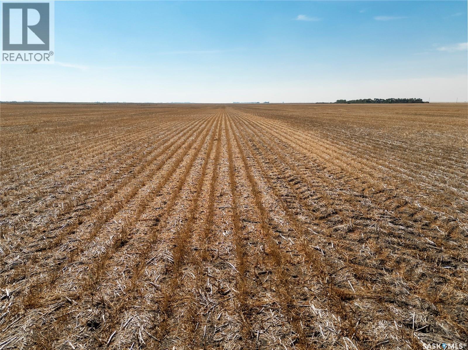 305 Acres - Sedley, Francis Rm No. 127, Saskatchewan  S0G 0J8 - Photo 1 - SK047066