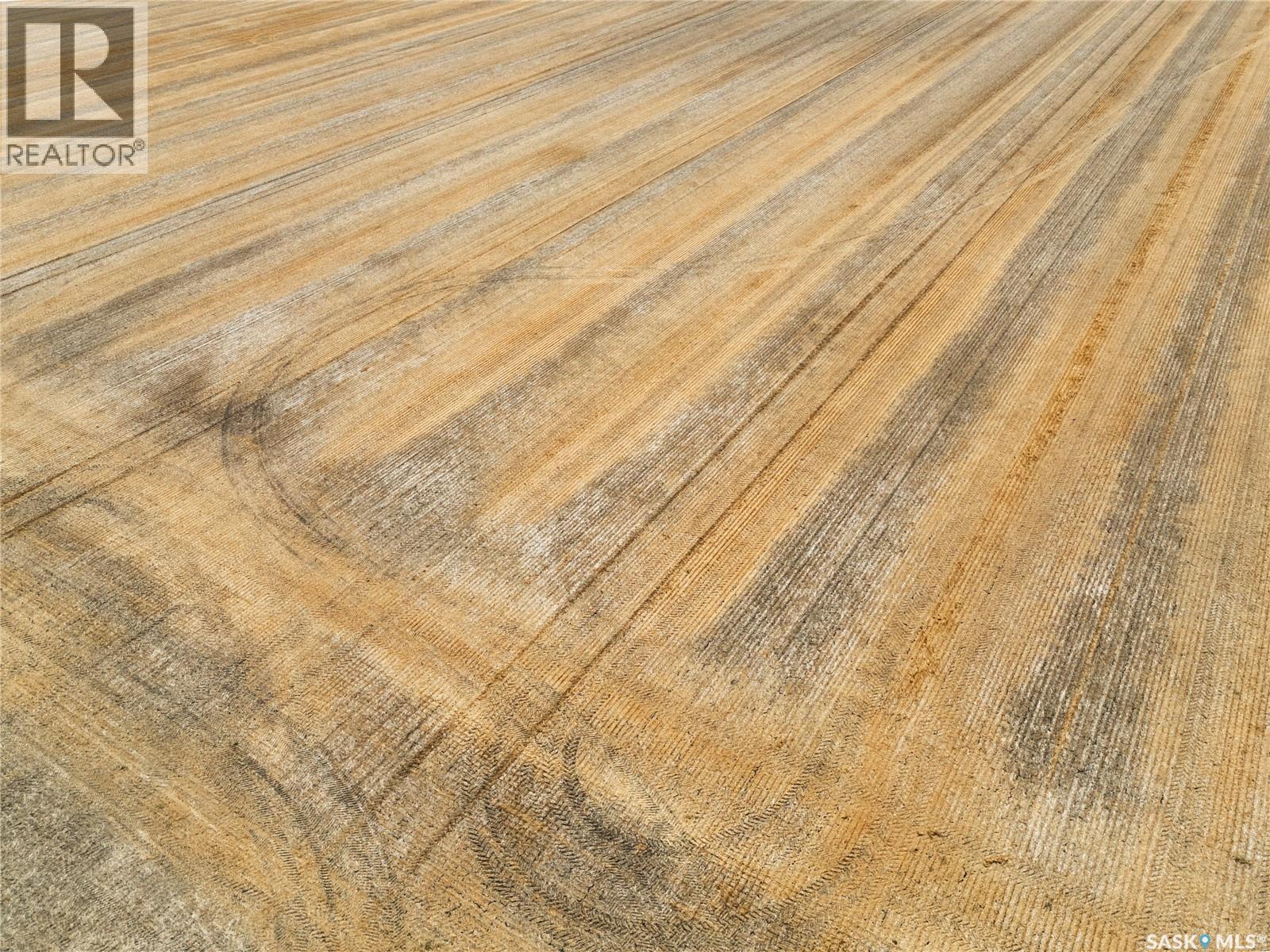 305 Acres - Sedley, Francis Rm No. 127, Saskatchewan  S0G 0J8 - Photo 5 - SK047066
