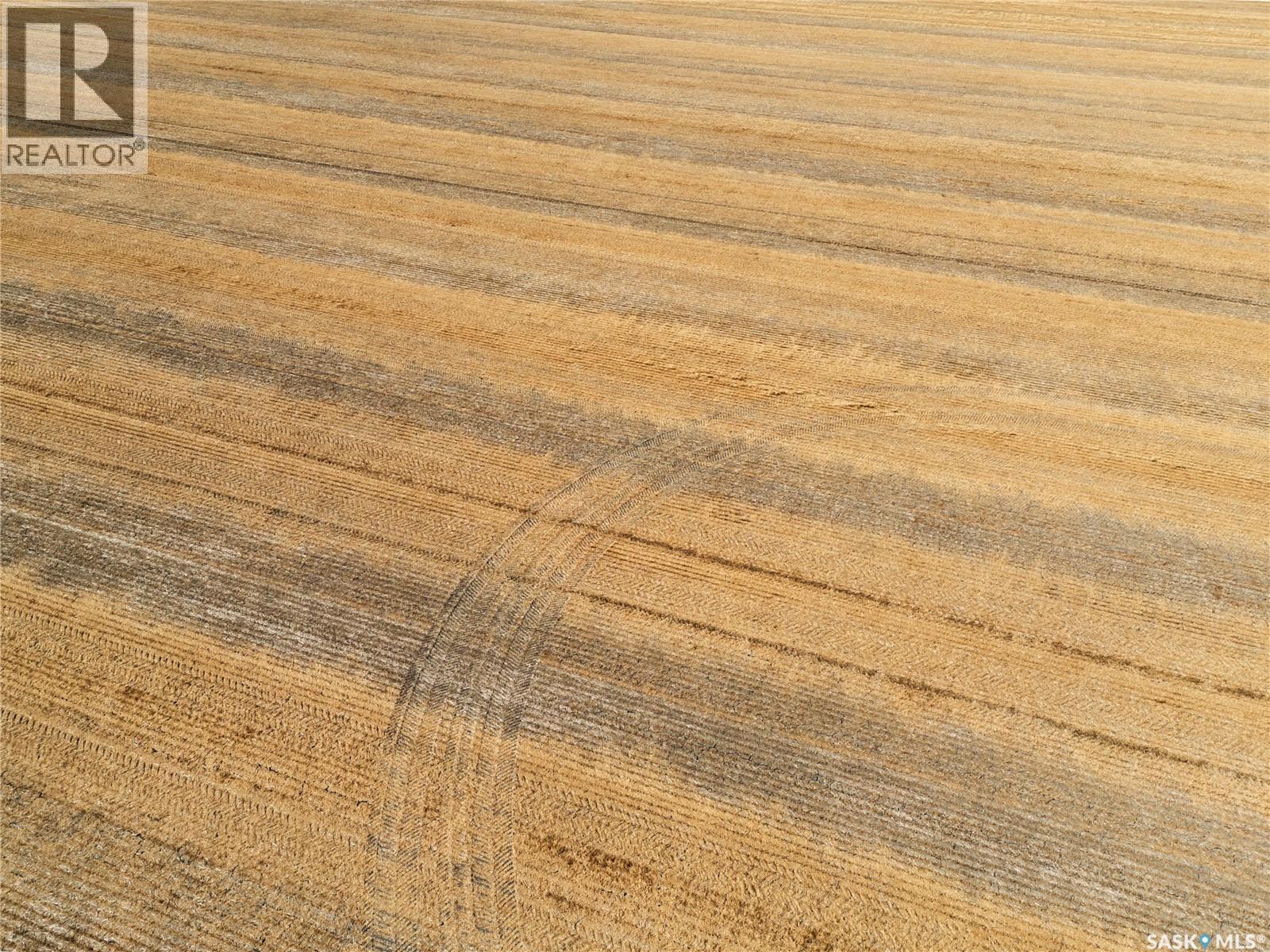305 Acres - Sedley, Francis Rm No. 127, Saskatchewan  S0G 0J8 - Photo 6 - SK047066
