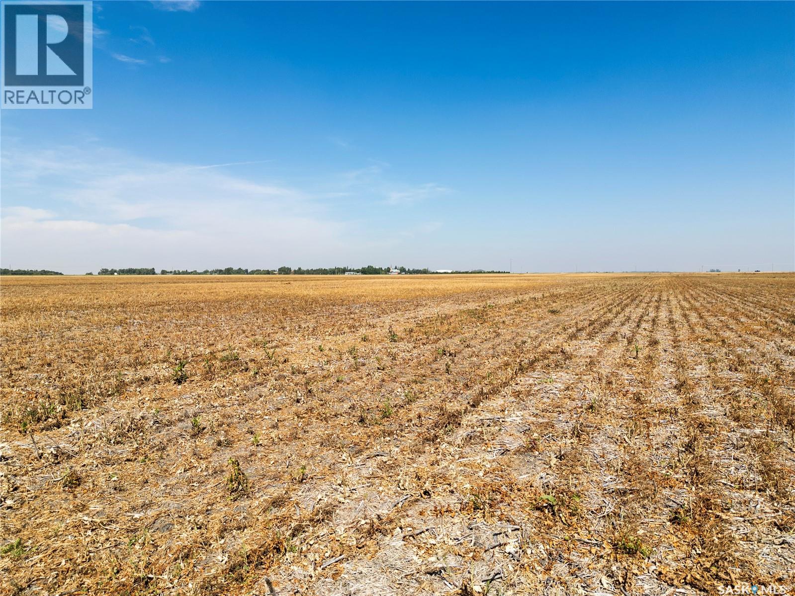 305 Acres - Sedley, Francis Rm No. 127, Saskatchewan  S0G 0J8 - Photo 9 - SK047066