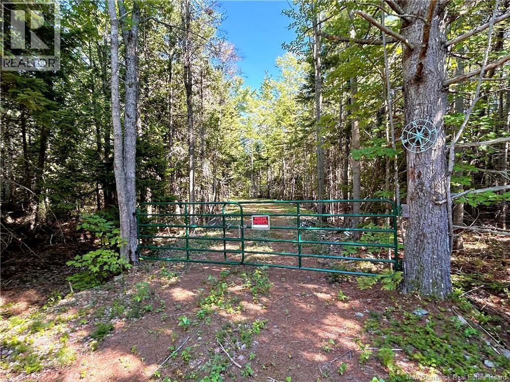 8.25 Acres Pointe Au Sable Road, Baie-Sainte-Anne, New Brunswick  E9A 1J7 - Photo 7 - NB146944
