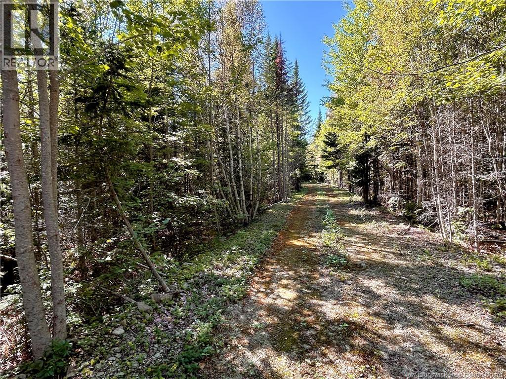 8.25 Acres Pointe Au Sable Road, Baie-Sainte-Anne, New Brunswick  E9A 1J7 - Photo 6 - NB146944
