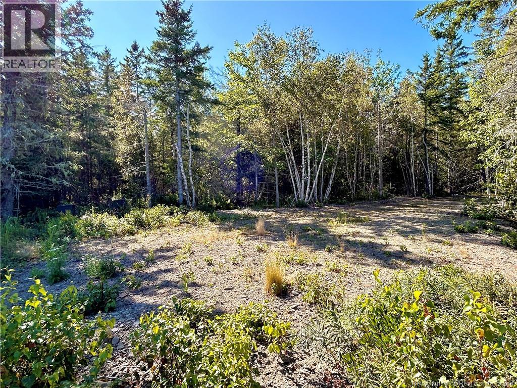 8.25 Acres Pointe Au Sable Road, Baie-Sainte-Anne, New Brunswick  E9A 1J7 - Photo 4 - NB146944