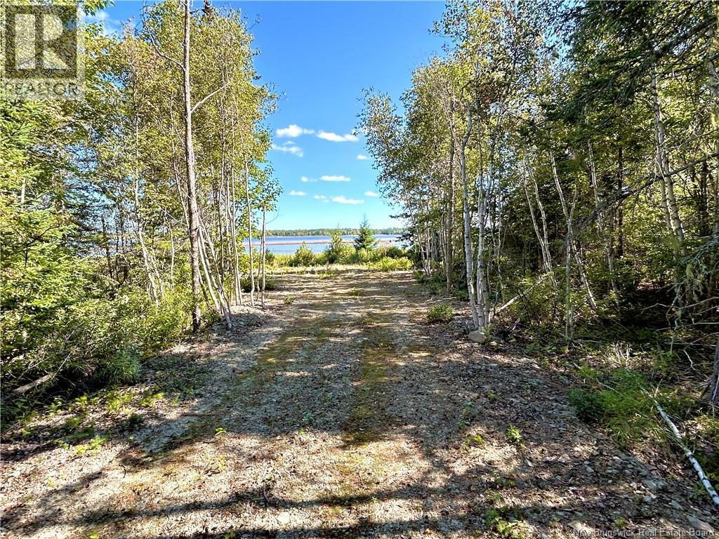 8.25 Acres Pointe Au Sable Road, Baie-Sainte-Anne, New Brunswick  E9A 1J7 - Photo 5 - NB146944
