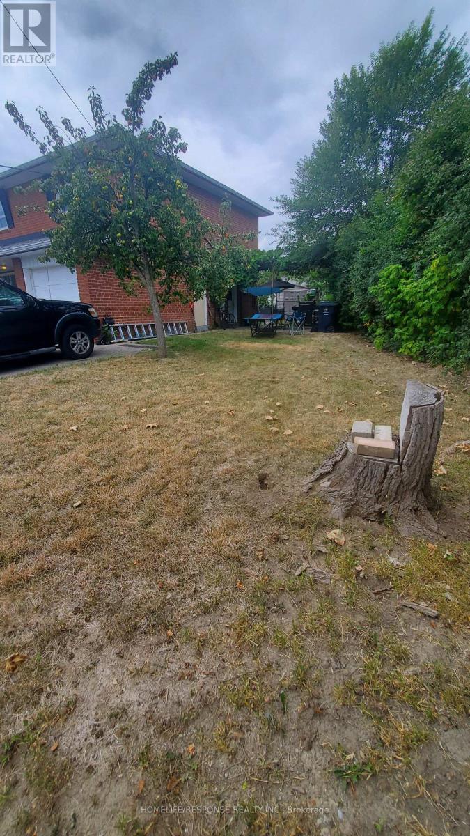 114 Ardwick Boulevard, Toronto, Ontario  M9M 1W2 - Photo 16 - W13722612