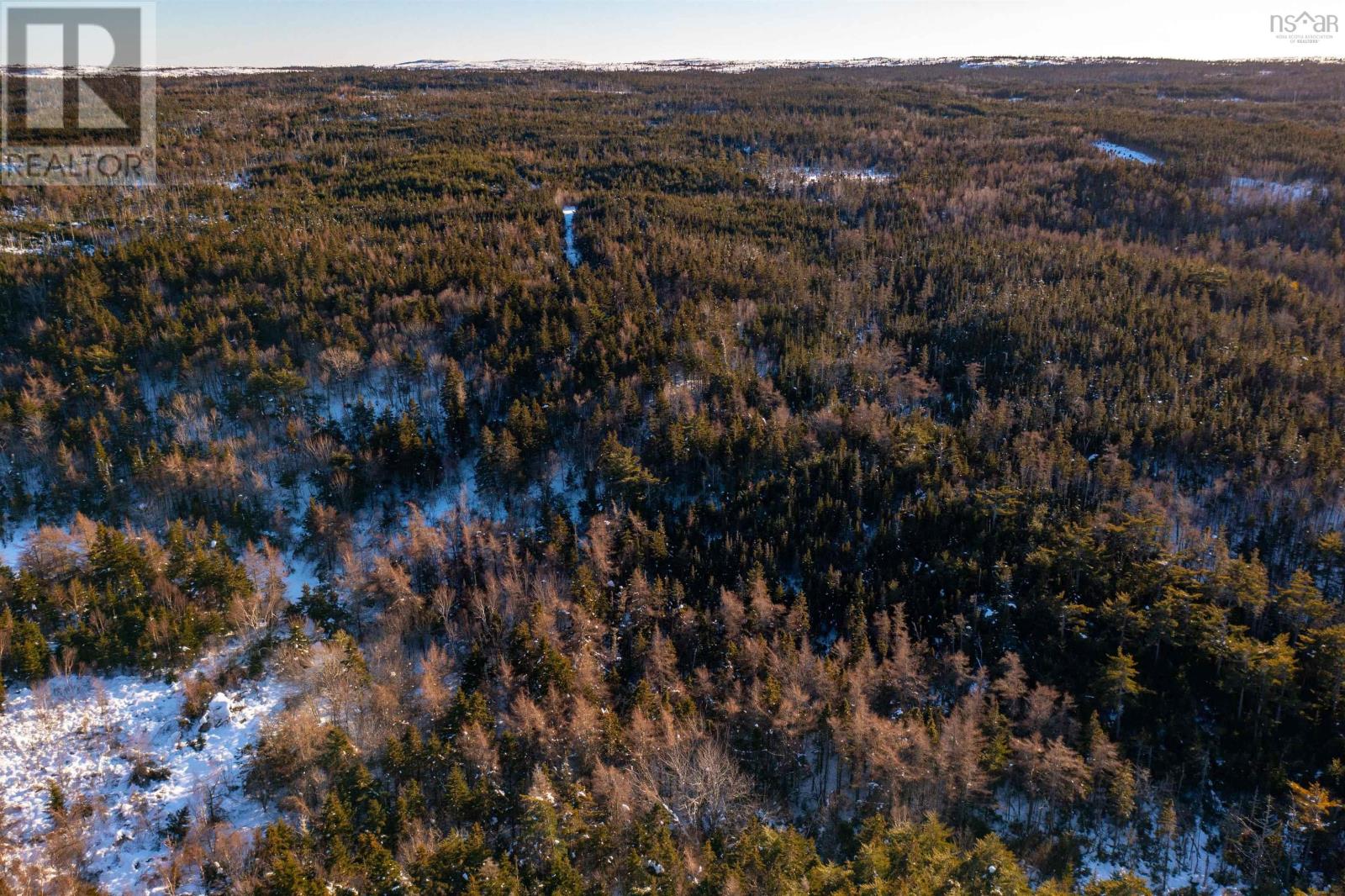 Peas Brook, 16 Highway, Peas Brook, Nova Scotia  B0H 1N0 - Photo 17 - 202617667