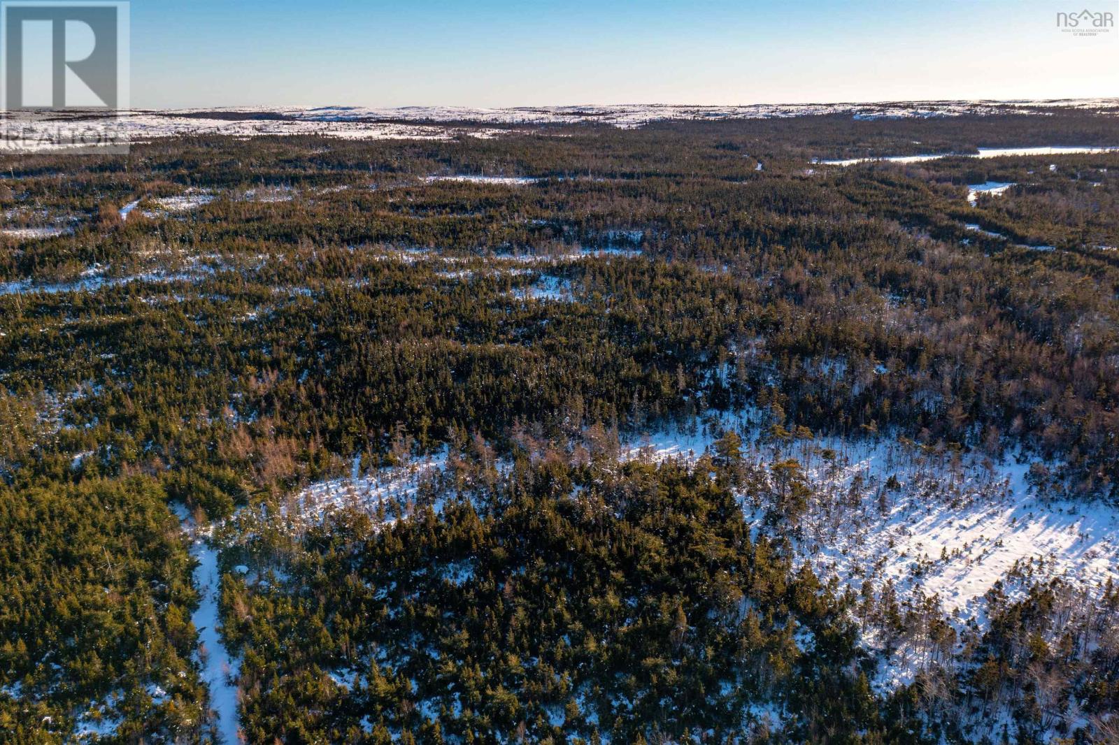 Peas Brook, 16 Highway, Peas Brook, Nova Scotia  B0H 1N0 - Photo 19 - 202617667
