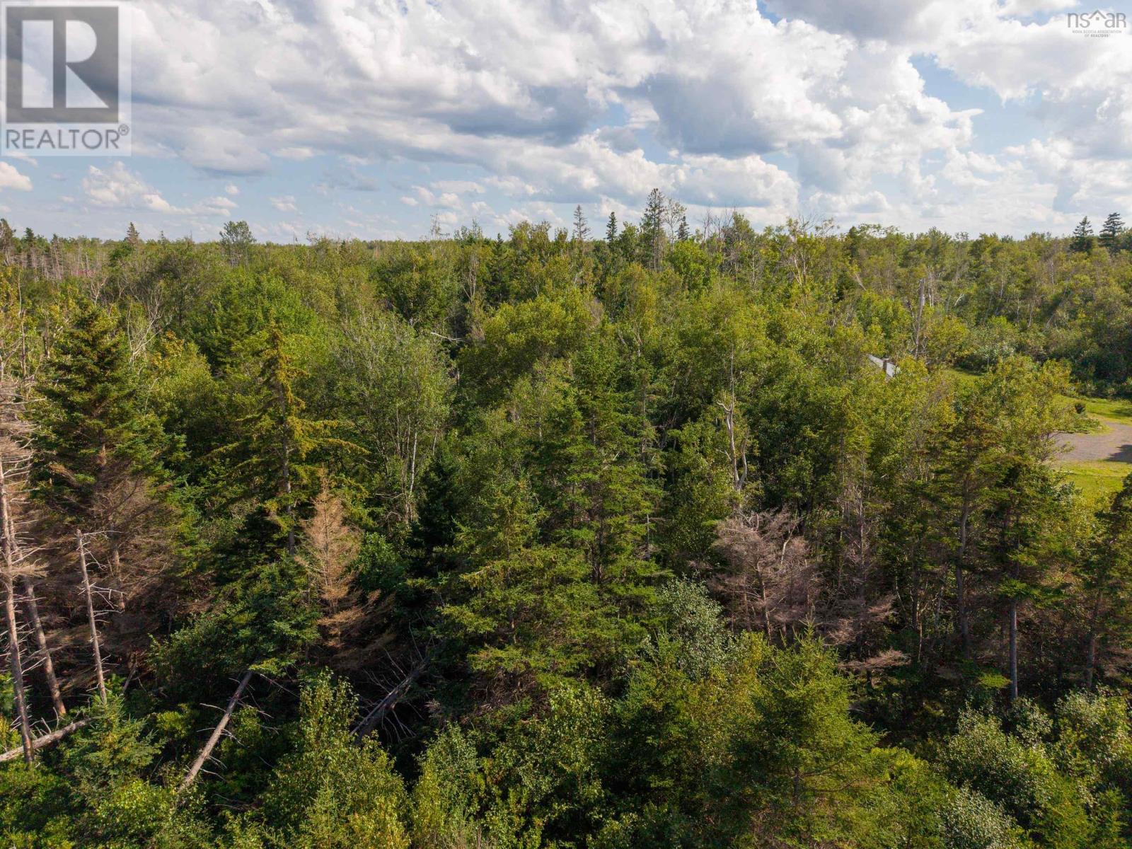985 Blue Sea Road, Malagash Point, Nova Scotia  B0K 1E0 - Photo 18 - 202621934