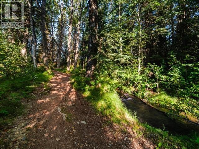 5 14th Avenue, Whitehorse, Yukon  Y1A 0S3 - Photo 29 - 17661