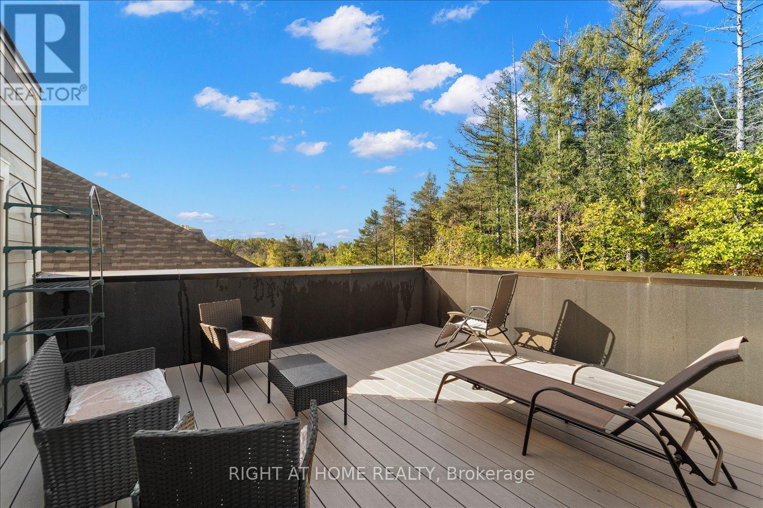 121 Milky Way Drive, Richmond Hill, Ontario  L4C 4L9 - Photo 38 - N13729320