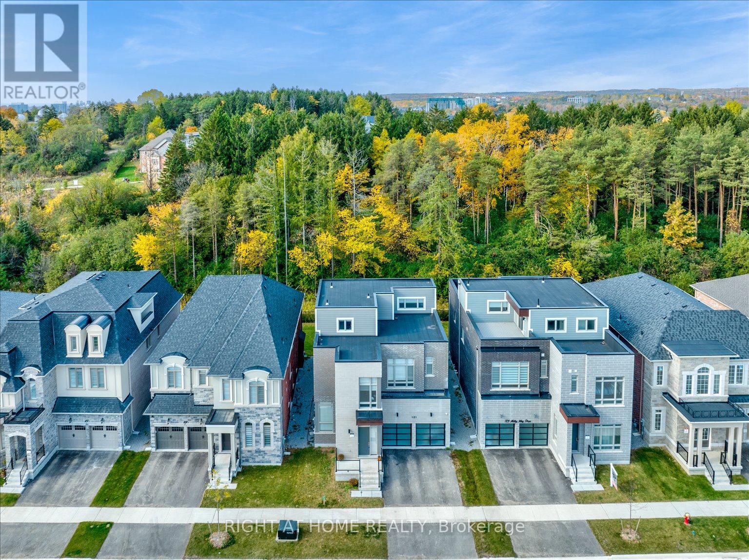 121 Milky Way Drive, Richmond Hill, Ontario  L4C 4L9 - Photo 45 - N13729320