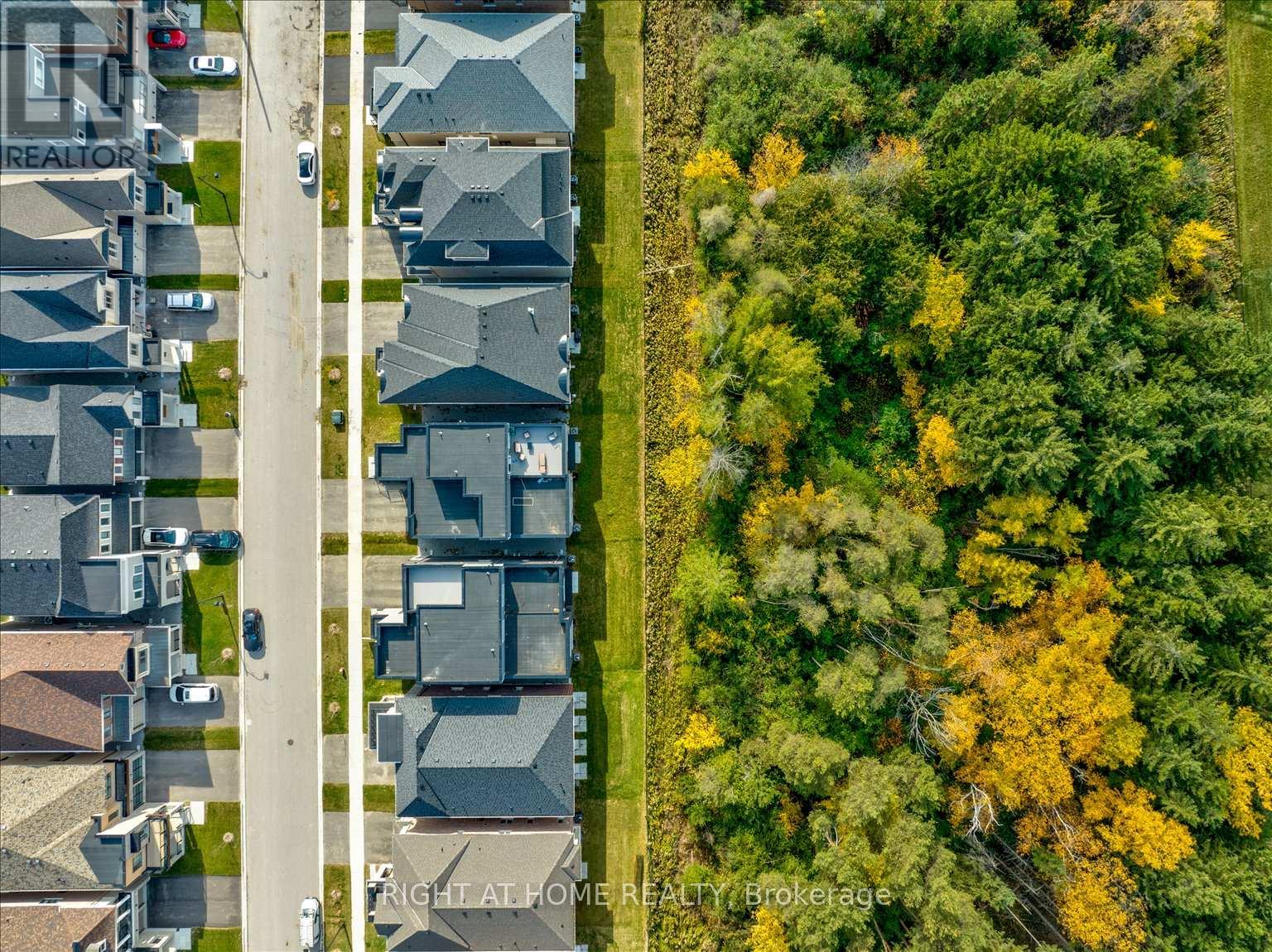 121 Milky Way Drive, Richmond Hill, Ontario  L4C 4L9 - Photo 49 - N13729320
