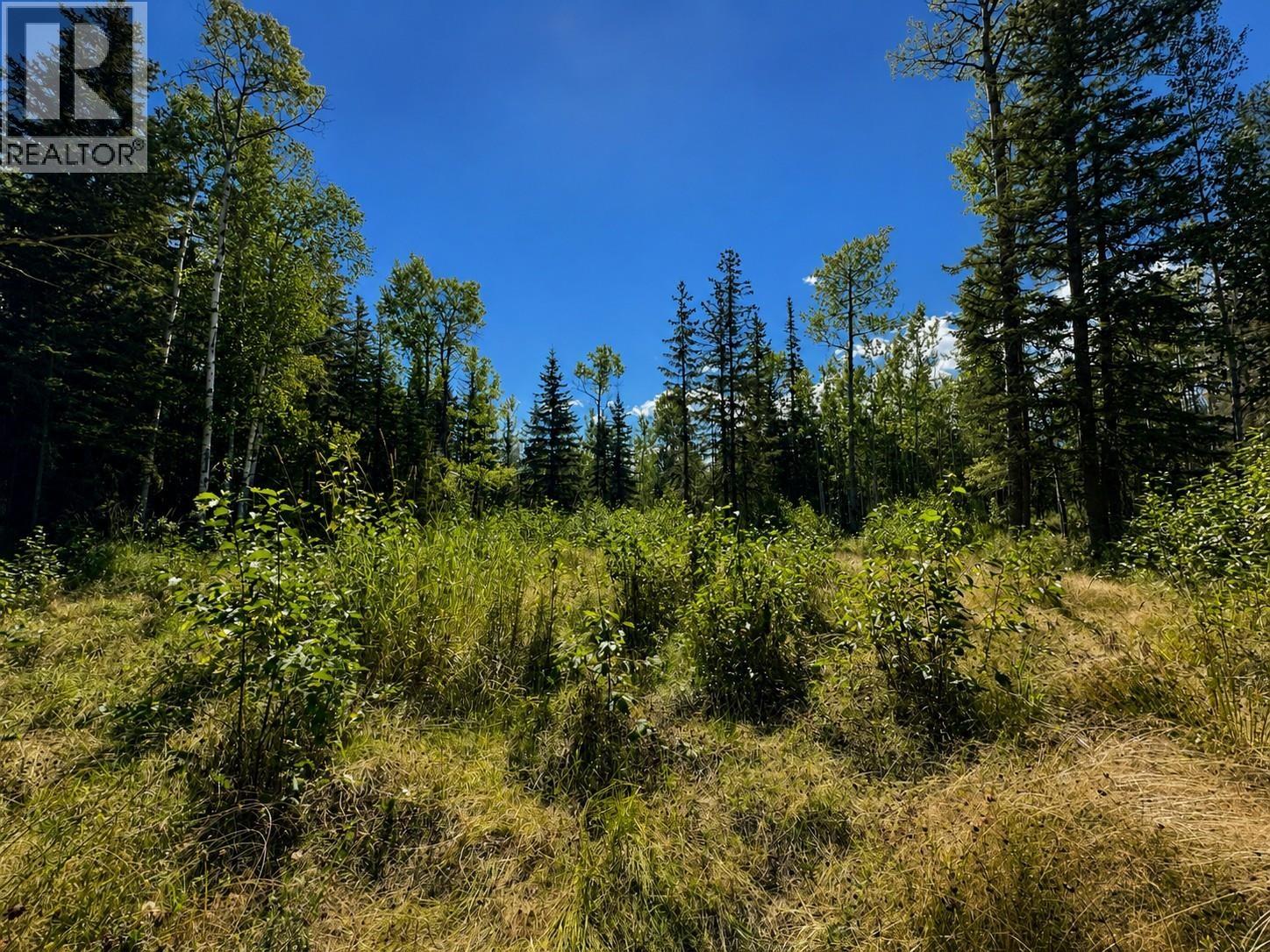 Lot 5 Airport Road, Mcbride, British Columbia  V0J 2E0 - Photo 1 - R3160189