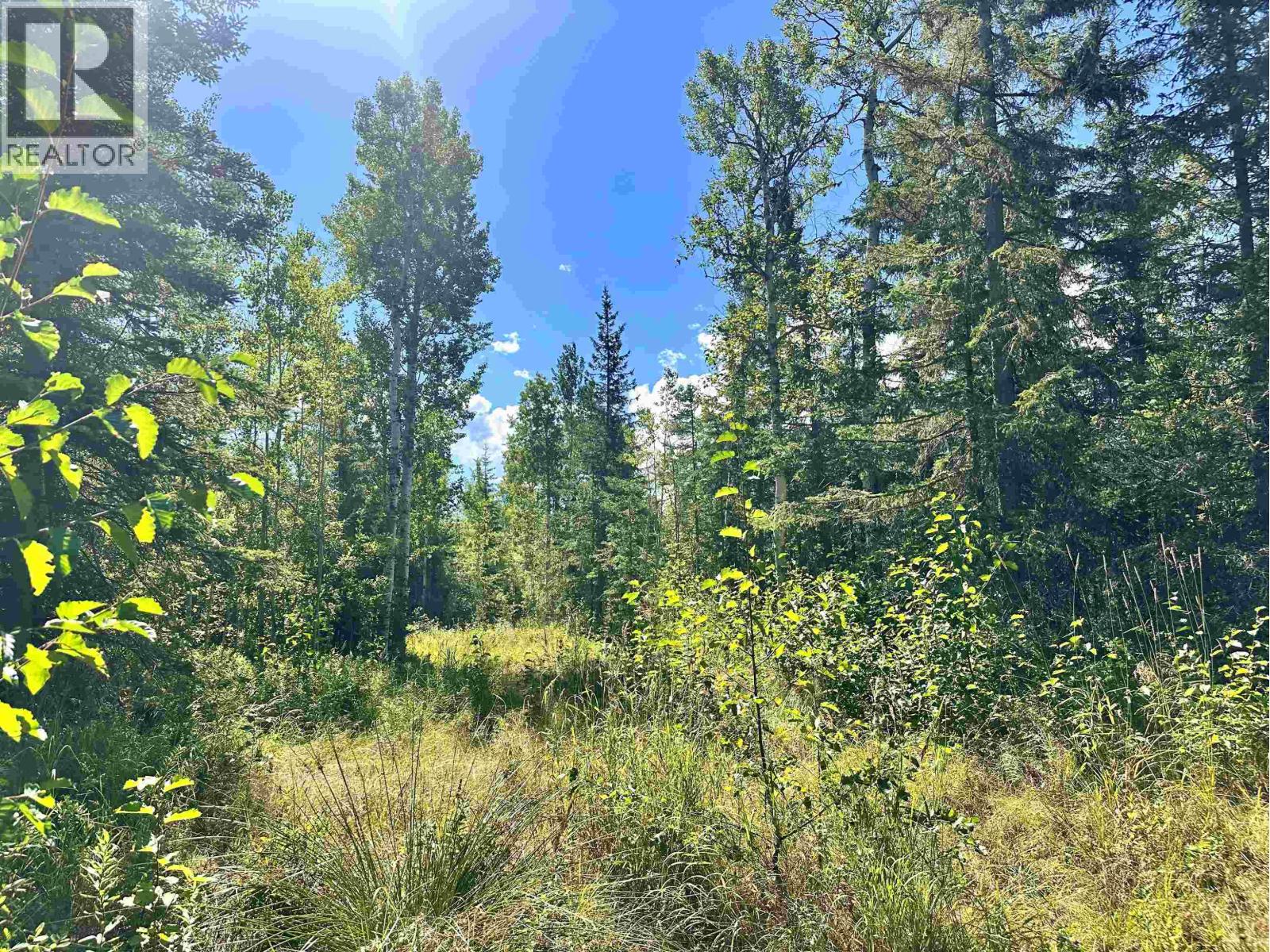 Lot 5 Airport Road, Mcbride, British Columbia  V0J 2E0 - Photo 3 - R3160189