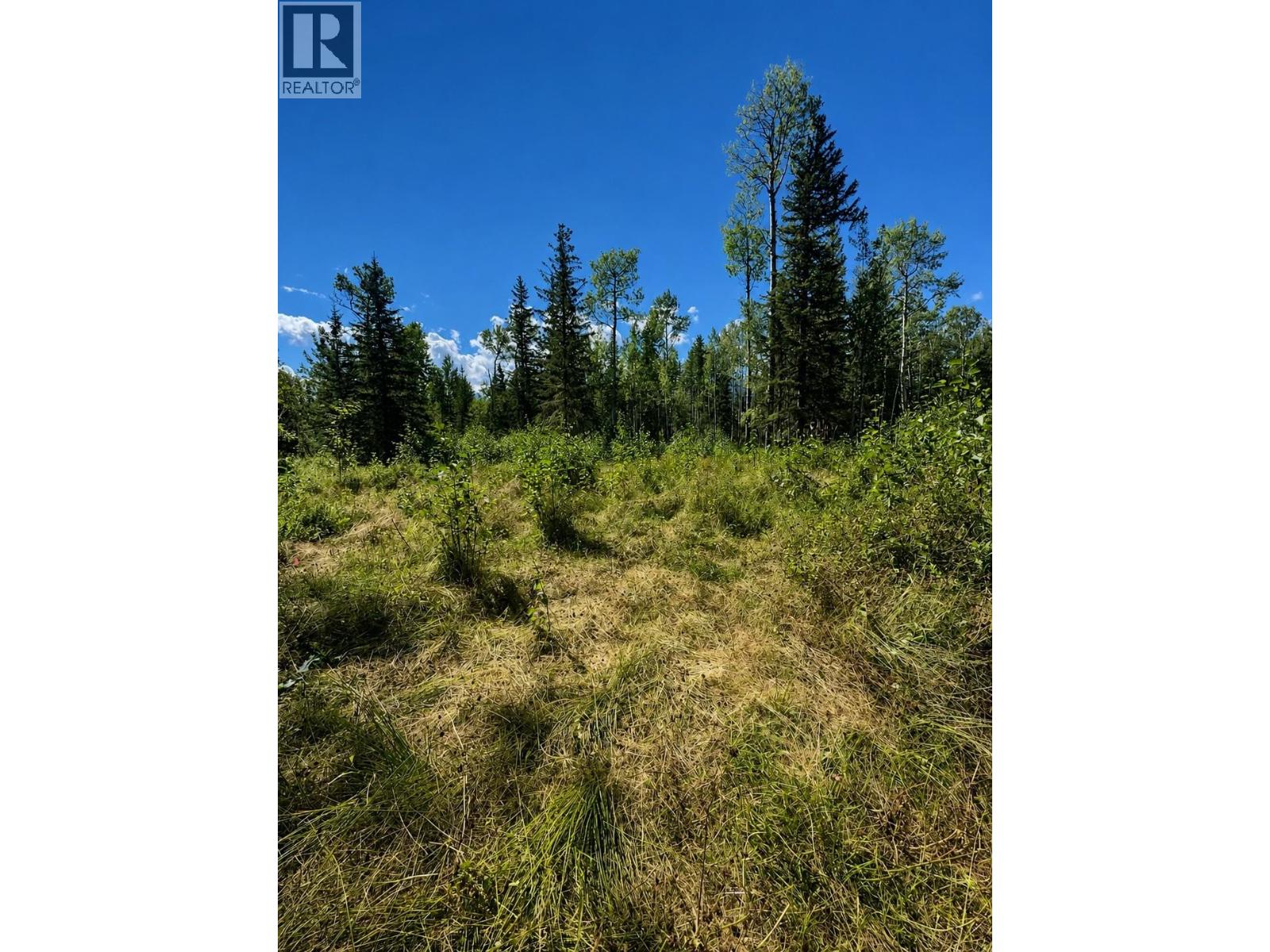 Lot 5 Airport Road, Mcbride, British Columbia  V0J 2E0 - Photo 5 - R3160189