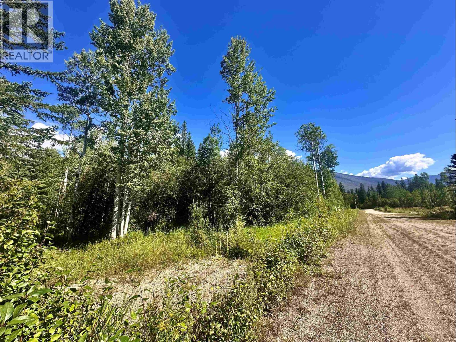 Lot 5 Airport Road, Mcbride, British Columbia  V0J 2E0 - Photo 6 - R3160189