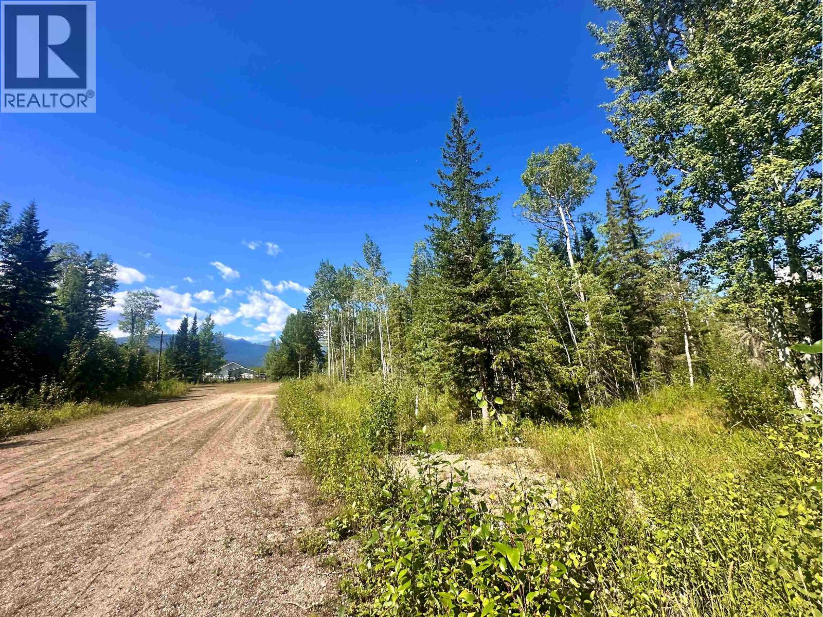 Lot 5 Airport Road, Mcbride, British Columbia  V0J 2E0 - Photo 7 - R3160189
