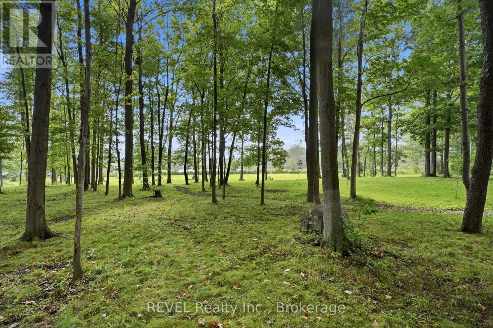 1247 Chippawa Creek Road, Thorold, Ontario  L0S 1K0 - Photo 35 - X13729484