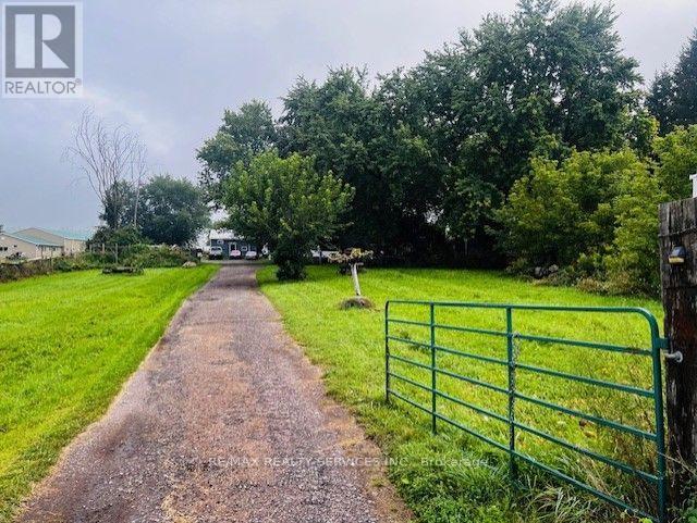 6429 3rd Line, New Tecumseth, Ontario  L0G 1W0 - Photo 2 - N12524646