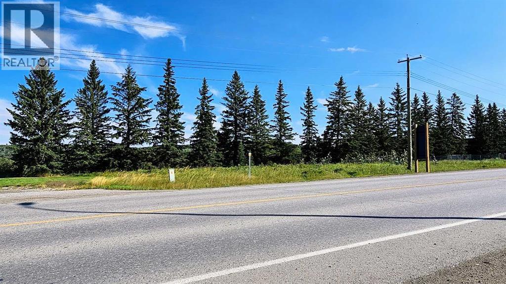 716 Main Avenue W, Sundre, Alberta T0M 1X0 - Photo 14 - A2160129