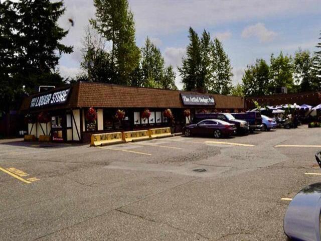 20059 24 Avenue, Langley, British Columbia  V2Z 1Z7 - Photo 19 - R3159807
