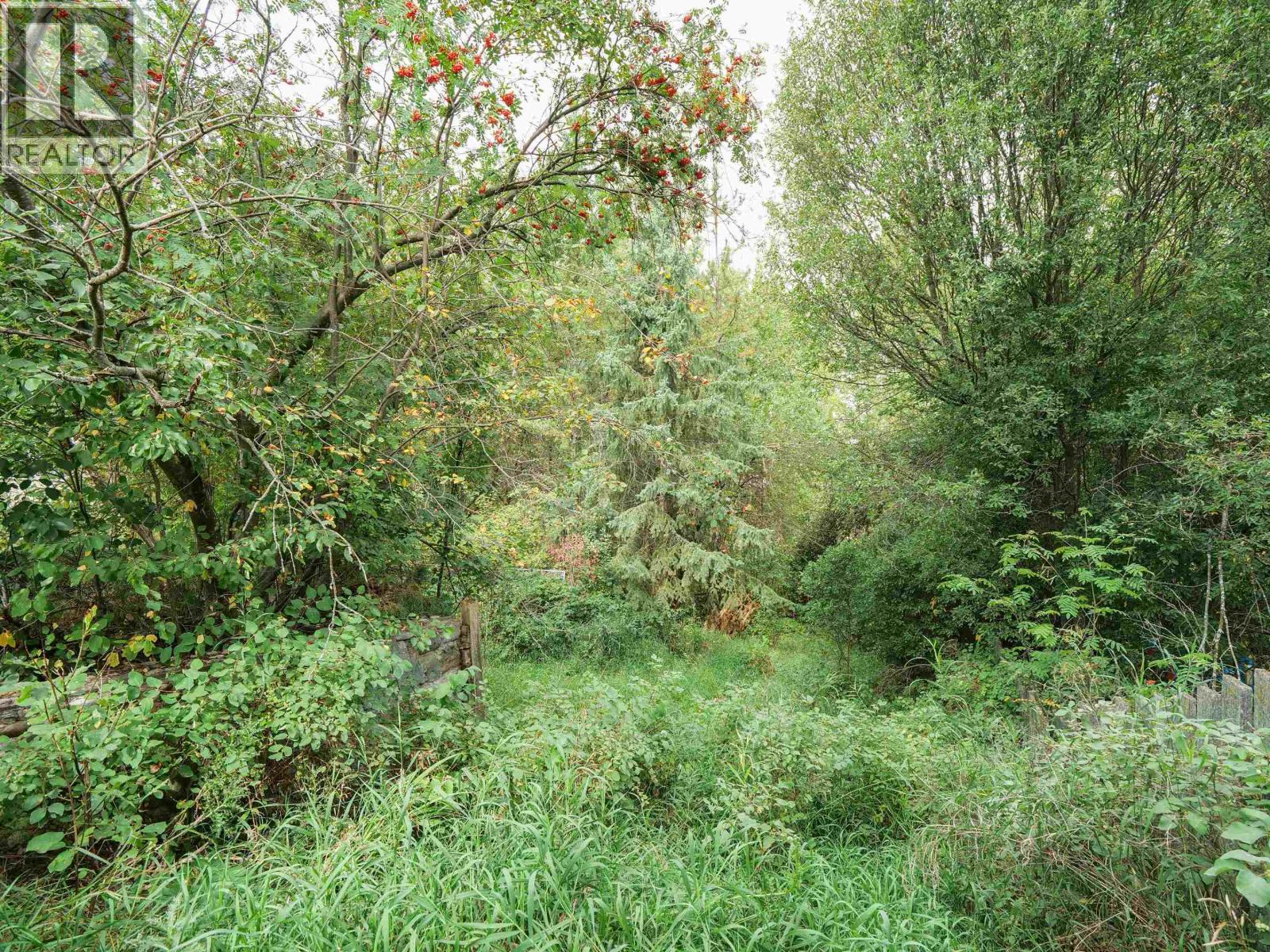 picture 33