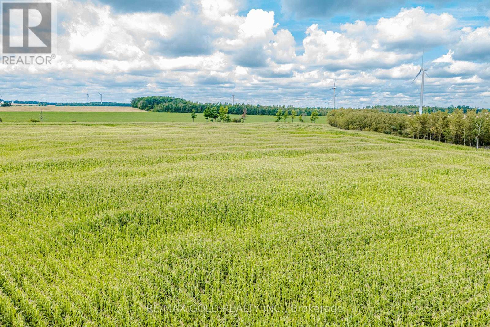 255505 9th Line, Amaranth, Ontario  L0N 1S5 - Photo 27 - X13462362
