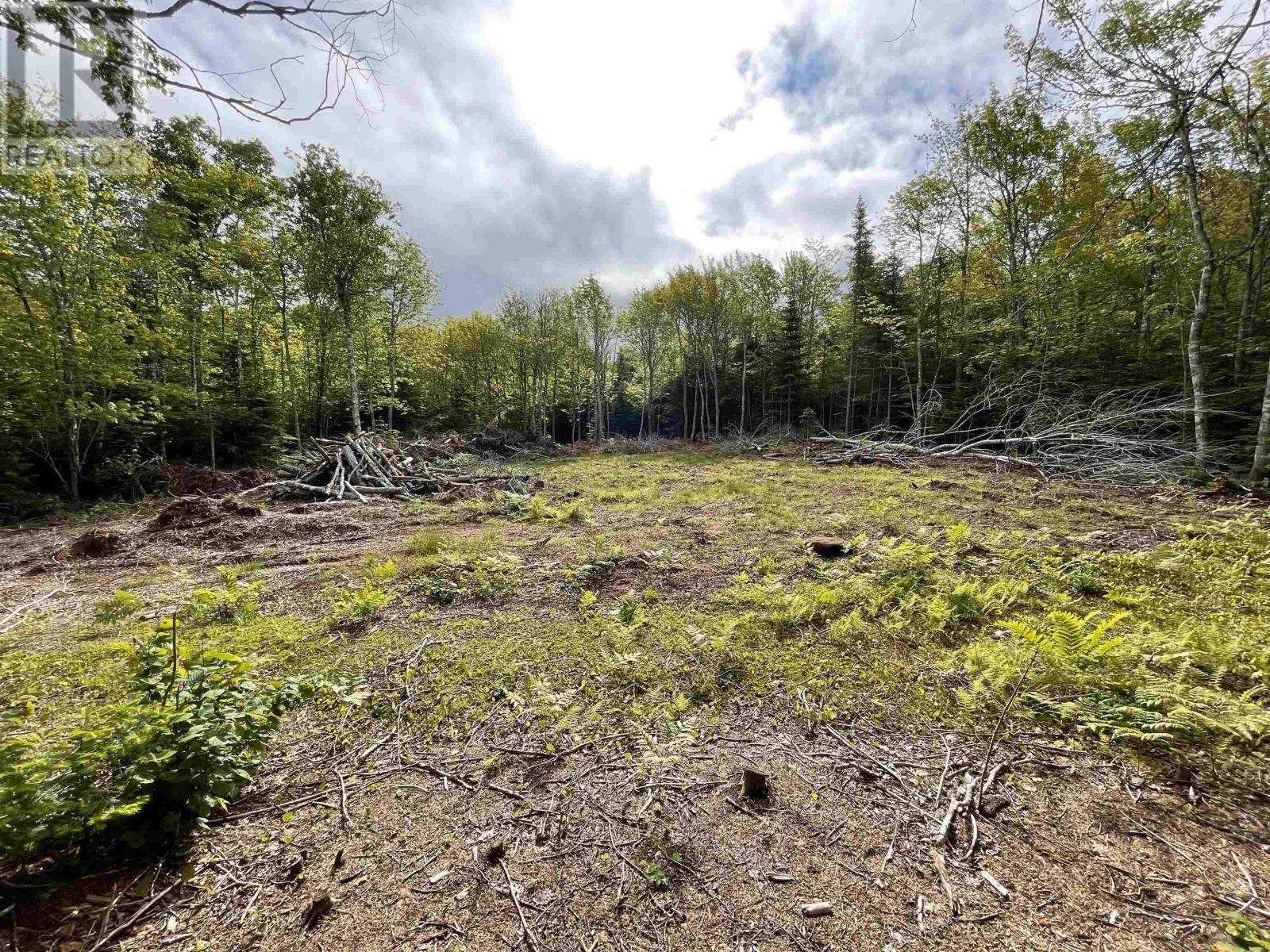 0 Mapleridge Estates, New London, Prince Edward Island  C0B 1M0 - Photo 3 - 202622064