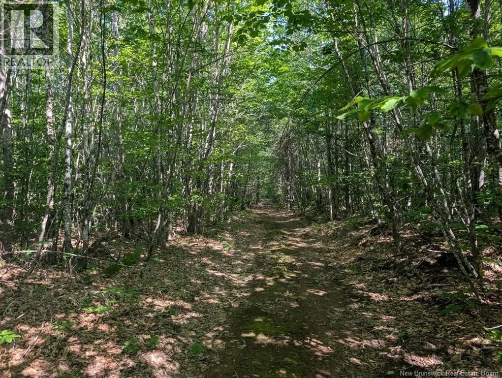 Wood Lot Green Road, Elgin, New Brunswick