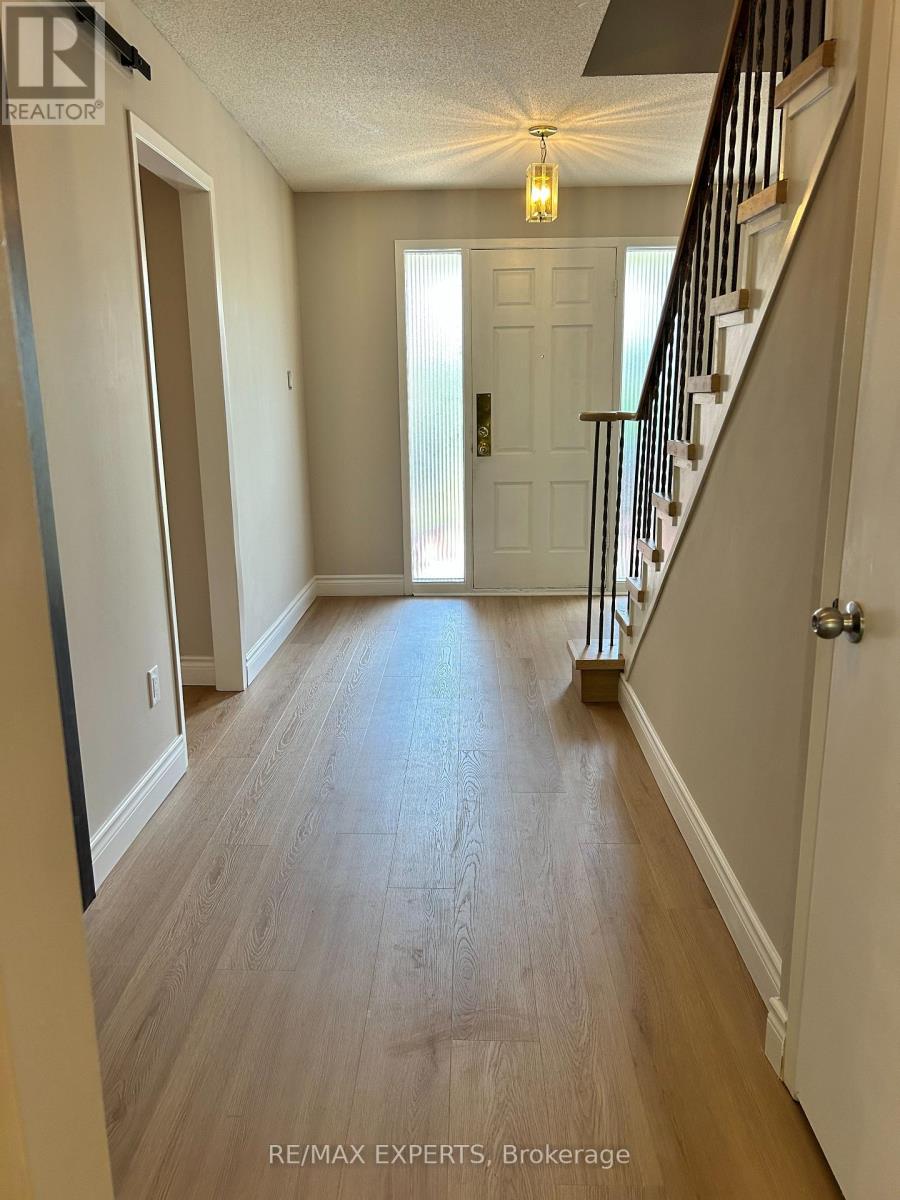 146 Dumfries Avenue, Brampton, Ontario  L6Z 2W9 - Photo 3 - W13461342