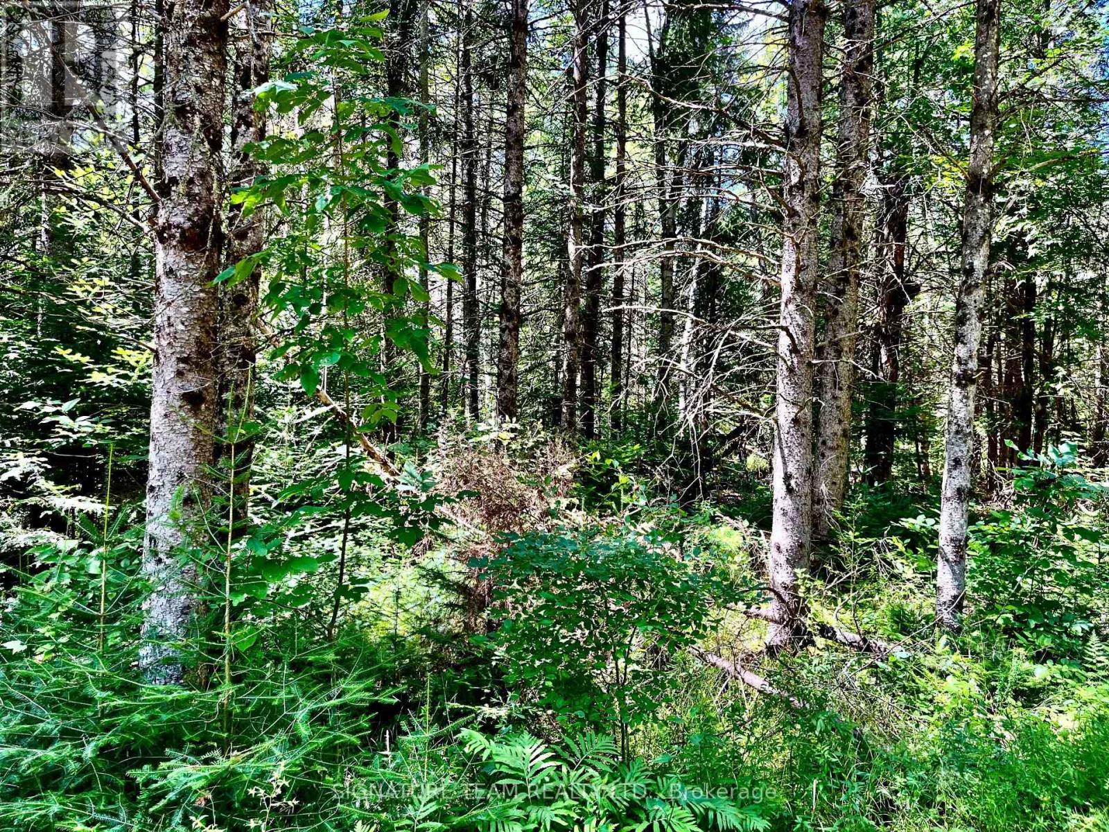 174 Budd Road, Bonnechere Valley, Ontario  K0J 1T0 - Photo 40 - X13730514