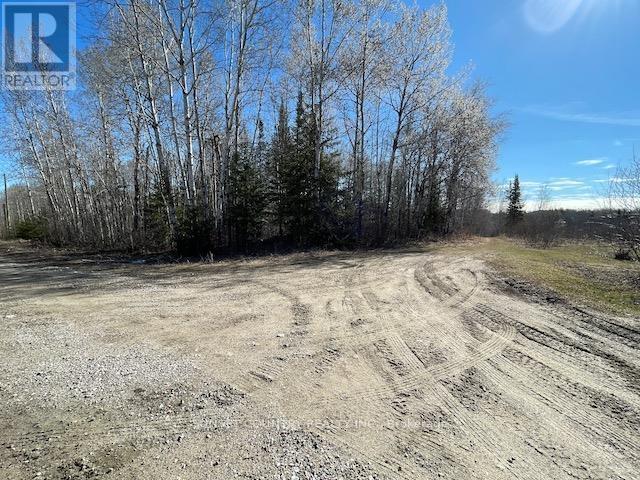 199 Lakeview Road, Dryden, Ontario  P8N 2Y4 - Photo 1 - X13243890