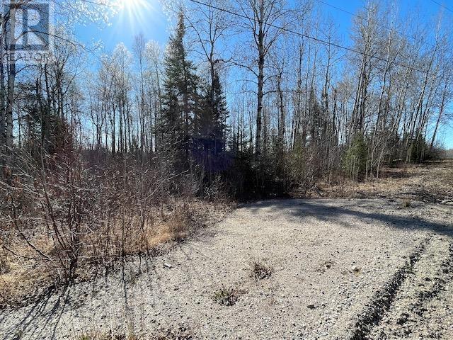 199 Lakeview Road, Dryden, Ontario  P8N 2Y4 - Photo 3 - X13243890