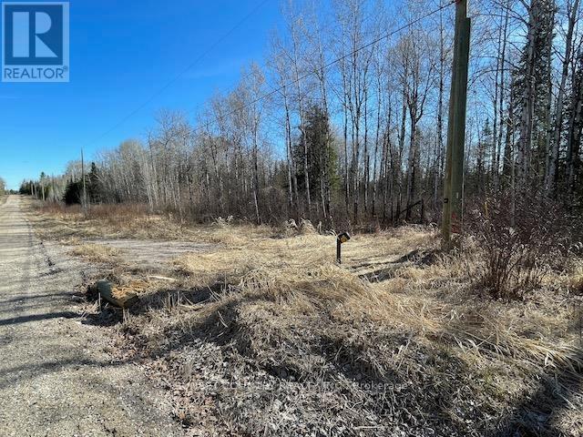 191 Lakeview Road, Dryden, Ontario  P8N 2Y4 - Photo 2 - X13243888