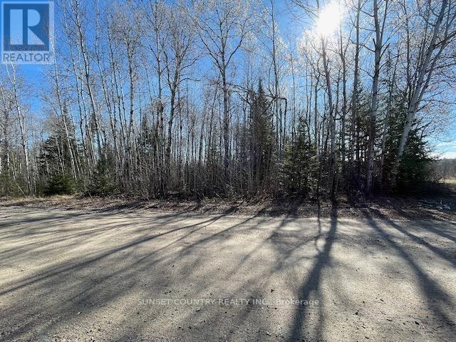 199 Lakeview Road, Dryden, Ontario  P8N 2Y4 - Photo 2 - X13243890