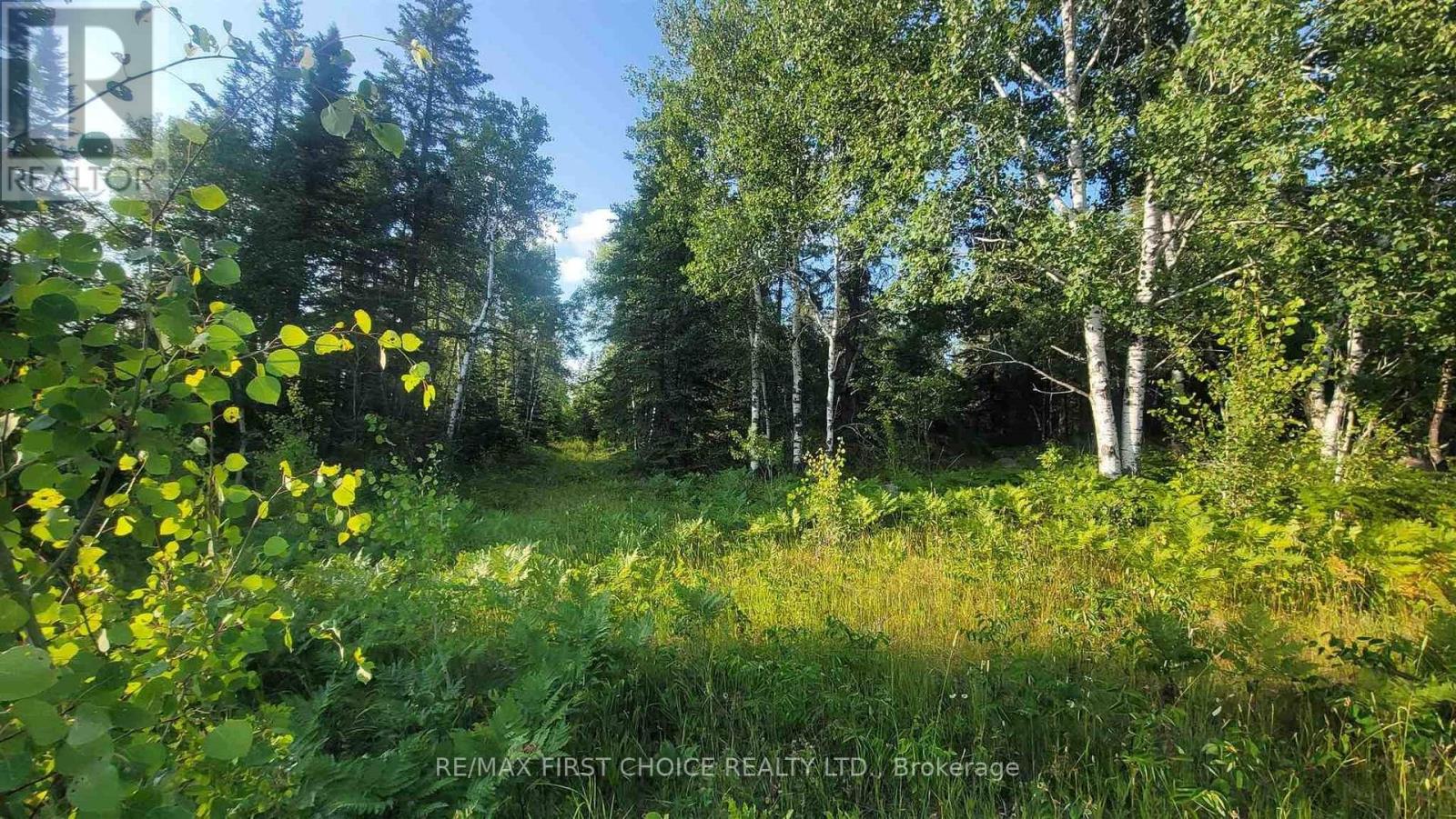 0 Ascough Road, Kenora, Ontario  P9N 1H4 - Photo 8 - X13244088