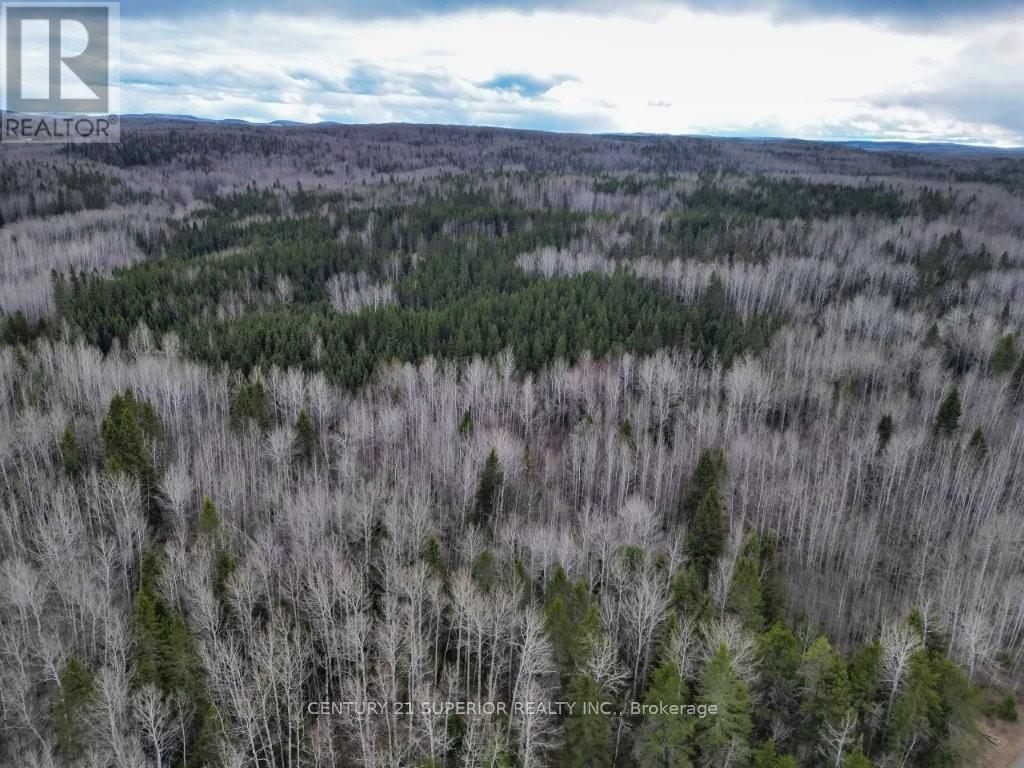 N 1/2 L 10 Centre Road, Thunder Bay Remote Area, Ontario  P0T 1X0 - Photo 10 - X13244858