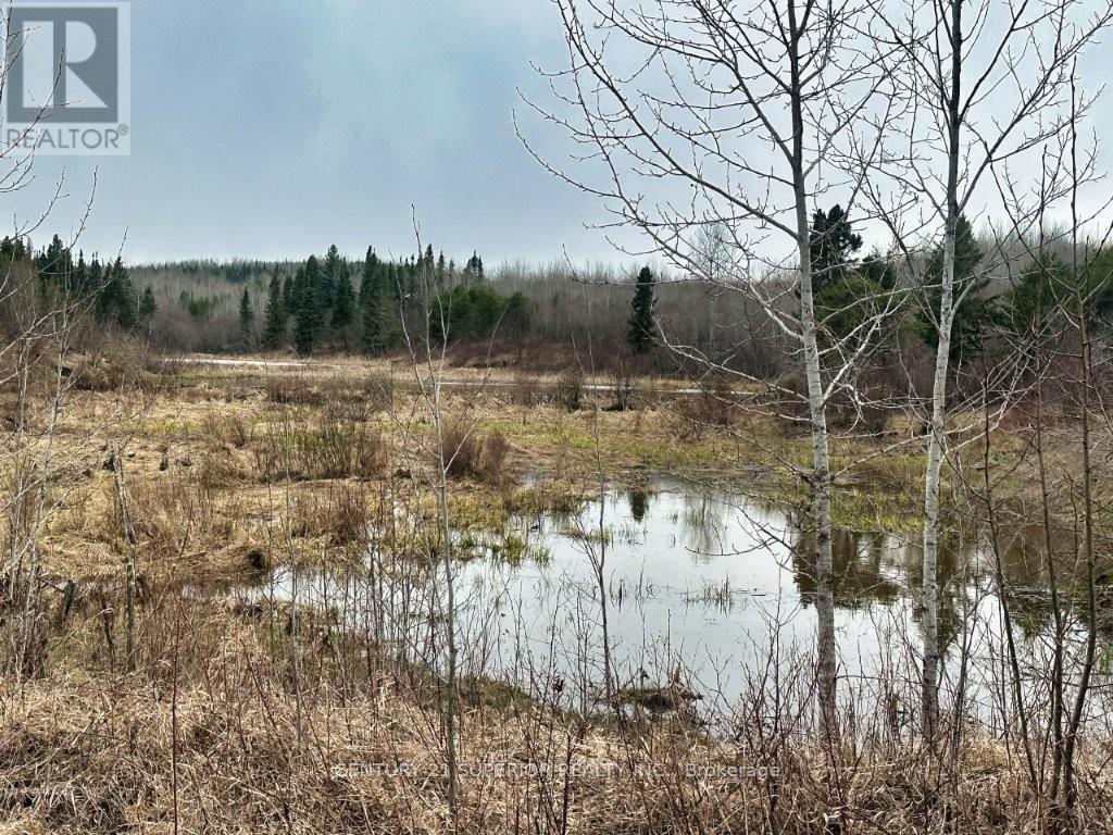N 1/2 L 10 Centre Road, Thunder Bay Remote Area, Ontario  P0T 1X0 - Photo 28 - X13244858